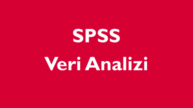 Bitirme Tezi İçin İstatistik Desteği (SPSS)